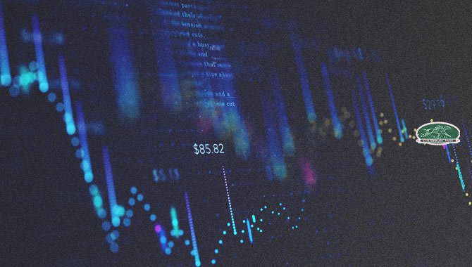 坎特伯雷公园控股公司报告第二季度收入增长12％。