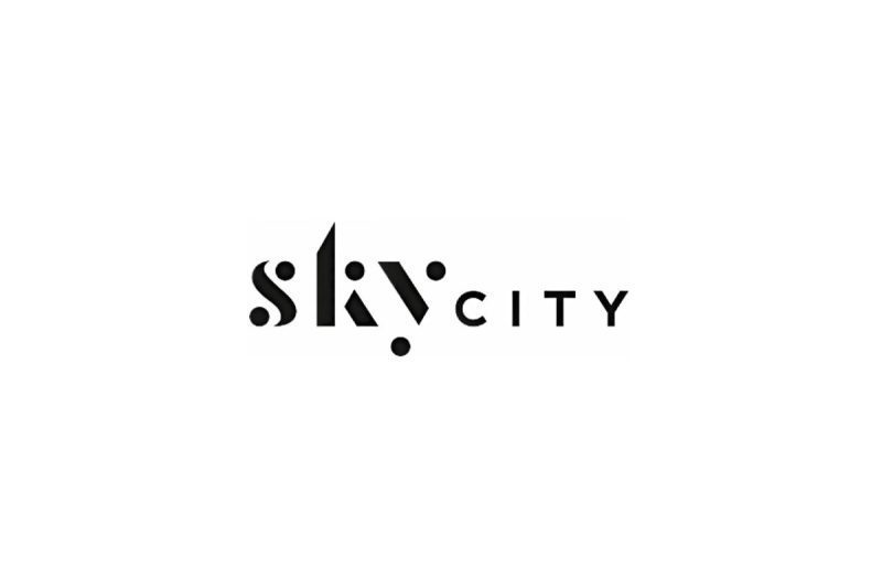 天空之城任命Steve Salmon为高级领导团队成员